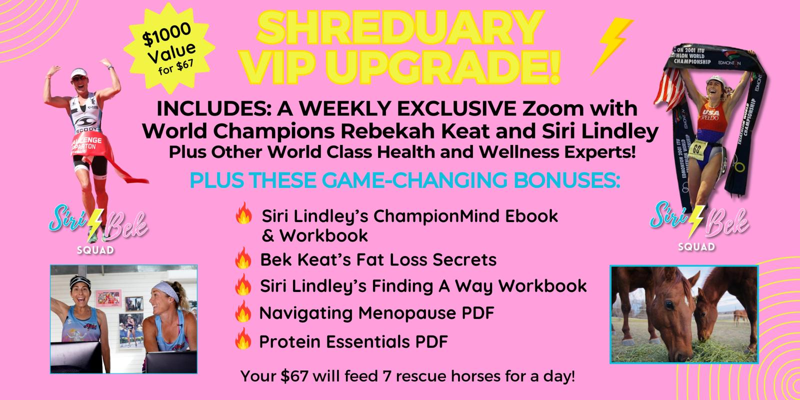 UPdated VIP UPgrade Graphic